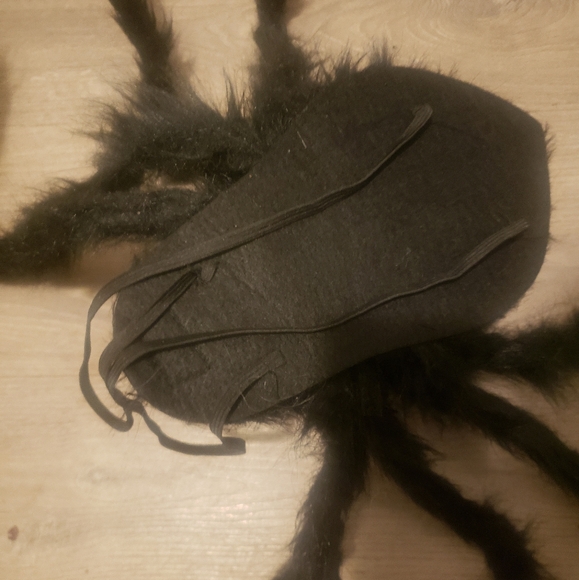 SPIDER COSTUME FOR DOGGO!! - Picture 11 of 11